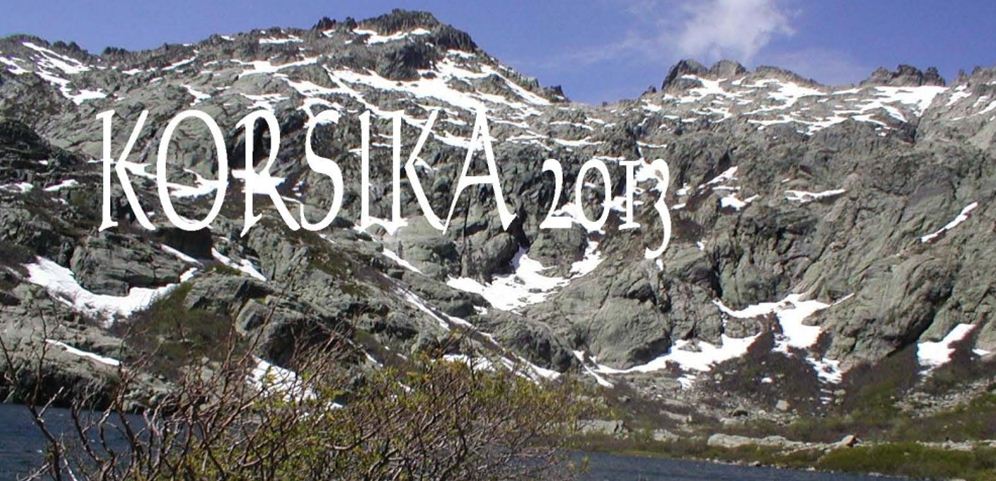 corse13